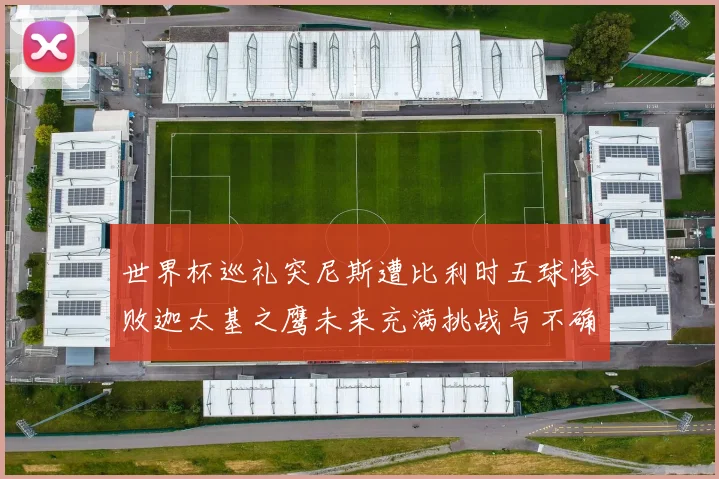 世界杯巡礼突尼斯遭比利时五球惨败迦太基之鹰未来充满挑战与不确定性