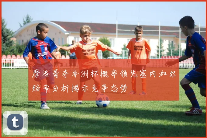 摩洛哥夺非洲杯概率领先塞内加尔赔率分析揭示竞争态势